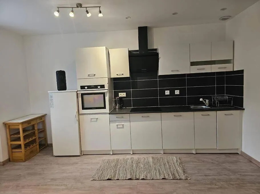Joli Appartement En Face De Lac Nantua Apartment