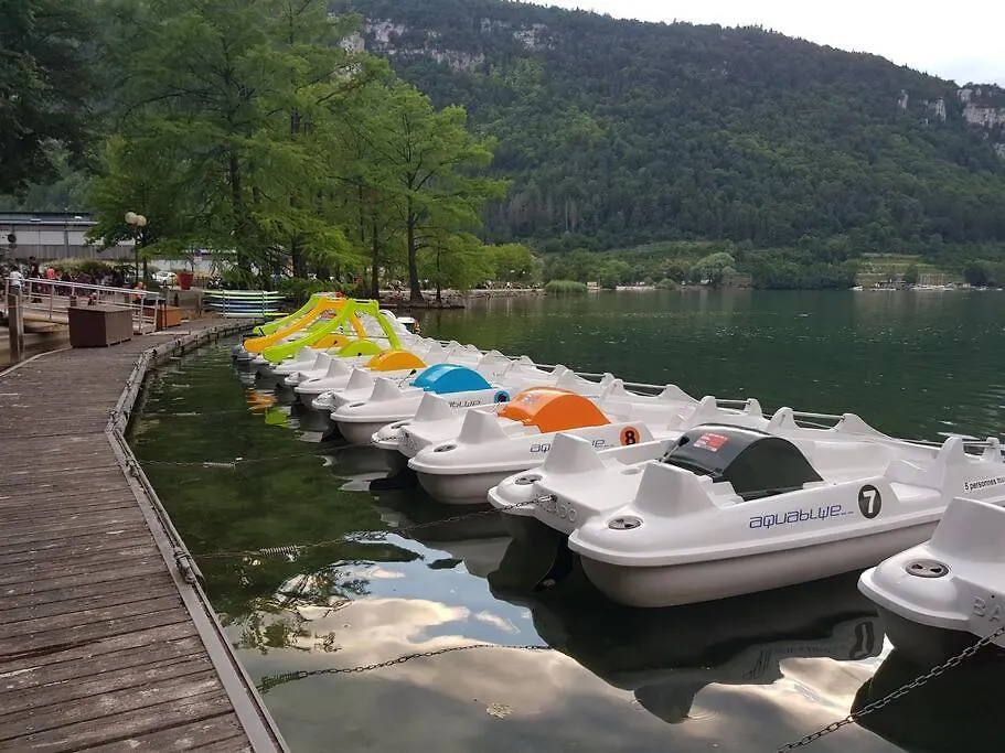 Joli Appartement En Face De Lac Nantua Apartment