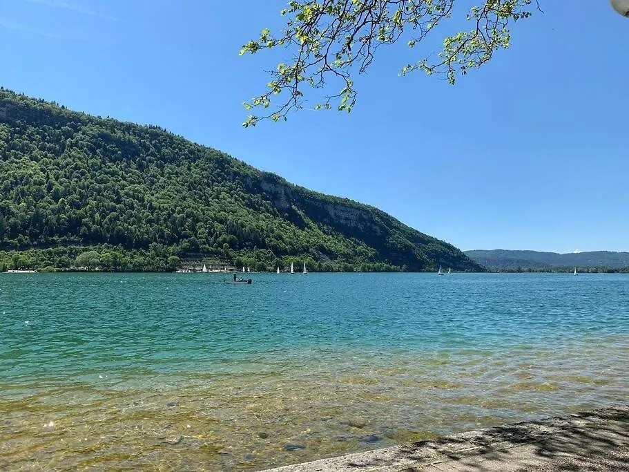 Joli Appartement En Face De Lac Nantua